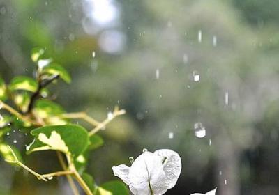 今天小年句子(优选10句)
