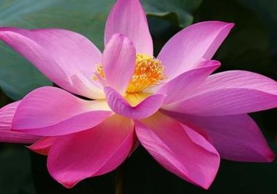今天很伤感的句子(汇总13句)