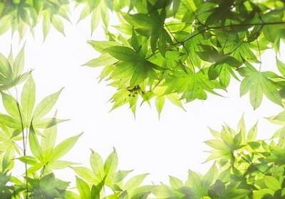 从化红县句子作文(实用5句)