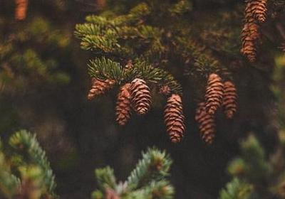 介绍长江的句子英语(实用18句)