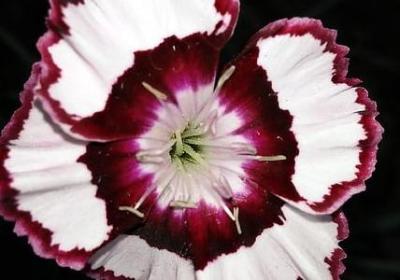 介绍涡阳的文案句子(推荐9句)