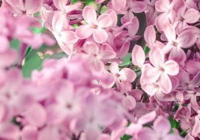 介绍南充地方句子(汇总7句)
