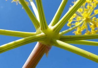 介绍宿舍简洁的句子(优选50句)