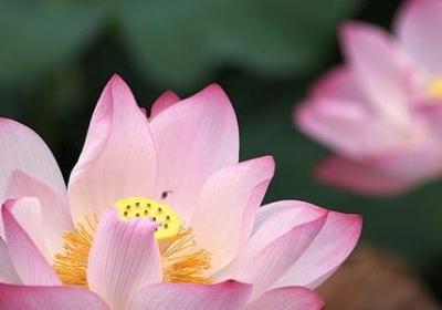 今天是 补充句子(共43句)