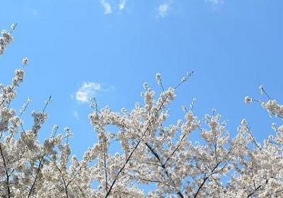 介绍新疆乌鲁木齐的句子(精选11句)