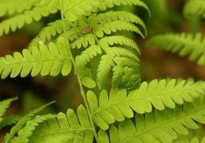 从爱情经历的句子(推荐50句)