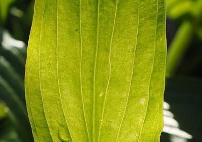 今天没有想你文案句子(合集14句)