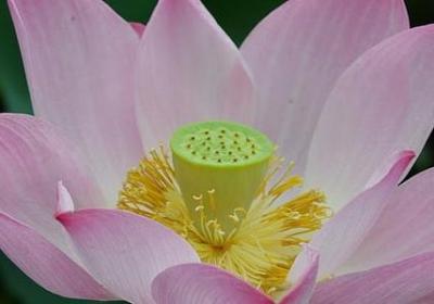 付诸于行为的句子(合集41句)