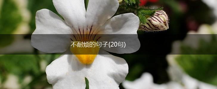 不耐烦的句子(20句),第1张