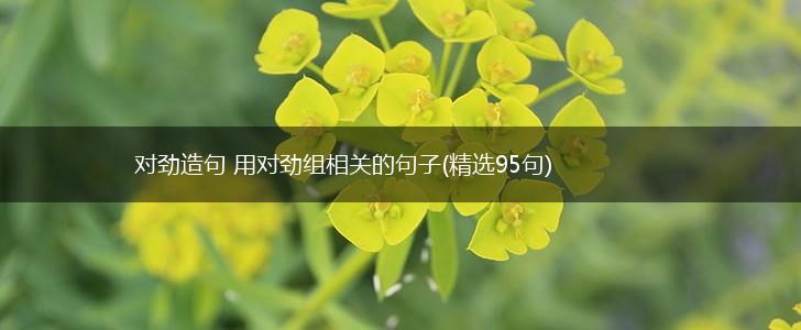 对劲造句 用对劲组相关的句子(精选95句),第1张