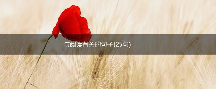 与阅读有关的句子(25句),第1张