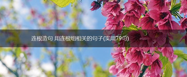 连根造句 用连根组相关的句子(实用79句),第1张