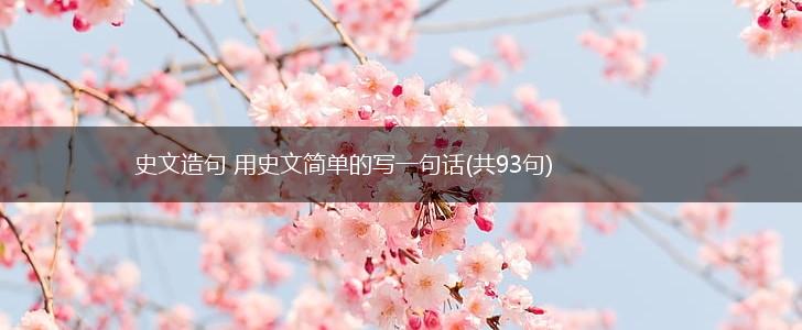史文造句 用史文简单的写一句话(共93句),第1张