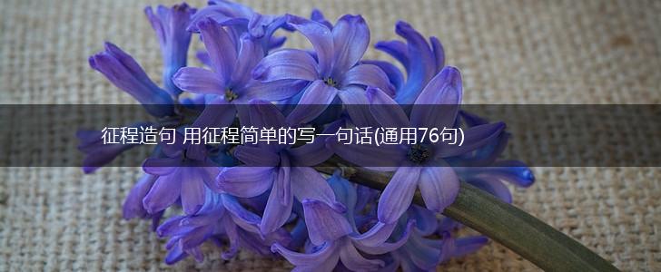 征程造句 用征程简单的写一句话(通用76句),第1张