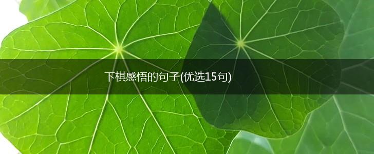 下棋感悟的句子(优选15句),第1张