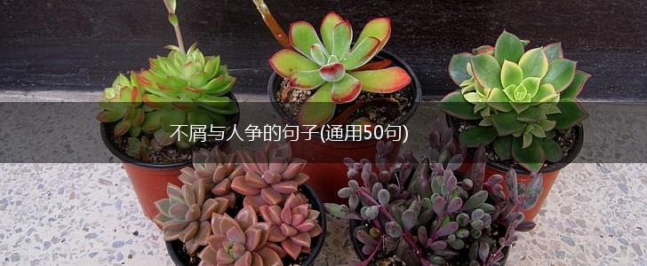 不屑与人争的句子(通用50句),第1张