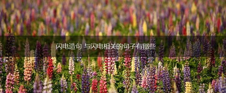 闪电造句 与闪电相关的句子有那些,第1张