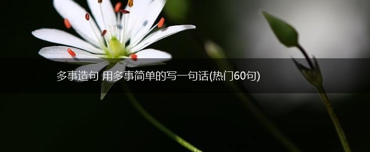 多事造句 用多事简单的写一句话(热门60句),第1张