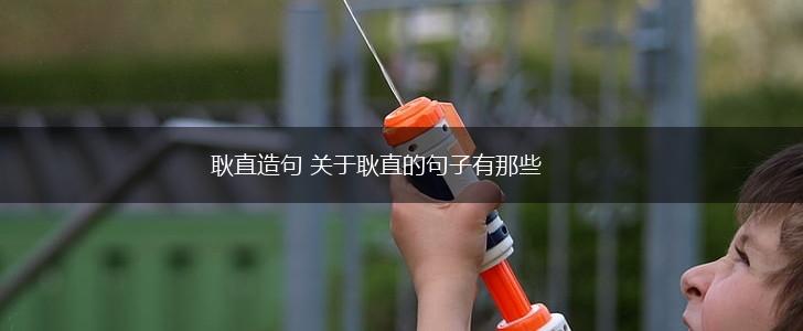 耿直造句 关于耿直的句子有那些,第1张
