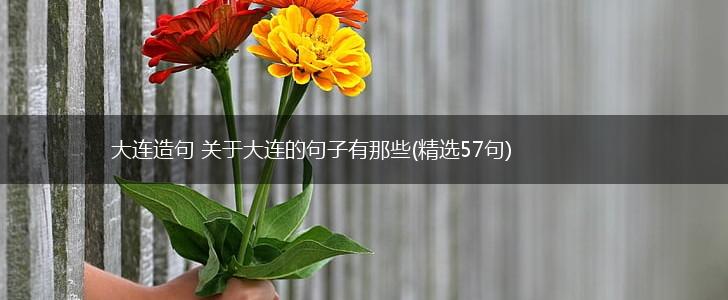 大连造句 关于大连的句子有那些(精选57句),第1张