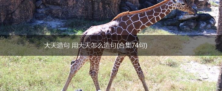 大天造句 用大天怎么造句(合集74句),第1张