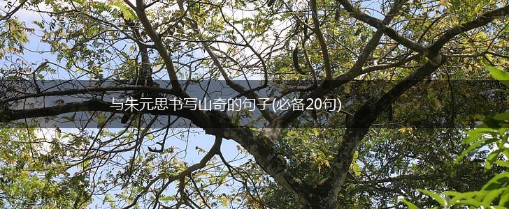 与朱元思书写山奇的句子(必备20句),第1张