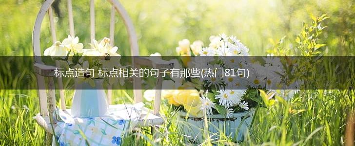 标点造句 标点相关的句子有那些(热门81句),第1张