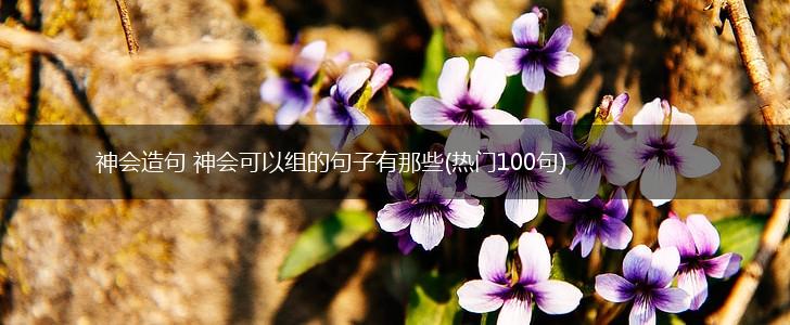 神会造句 神会可以组的句子有那些(热门100句),第1张