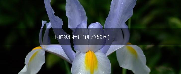 不抱怨的句子(汇总50句),第1张