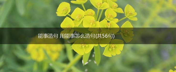 能事造句 用能事怎么造句(共56句),第1张