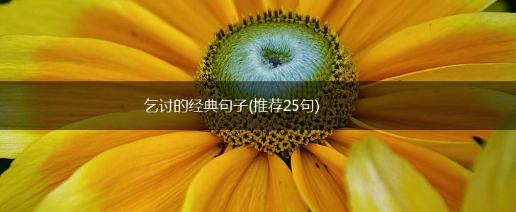 乞讨的经典句子(推荐25句),第1张