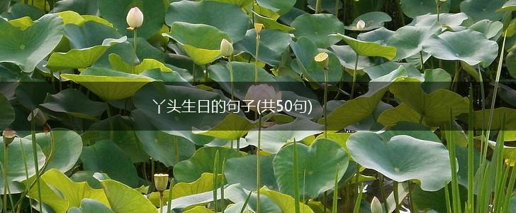 丫头生日的句子(共50句),第1张