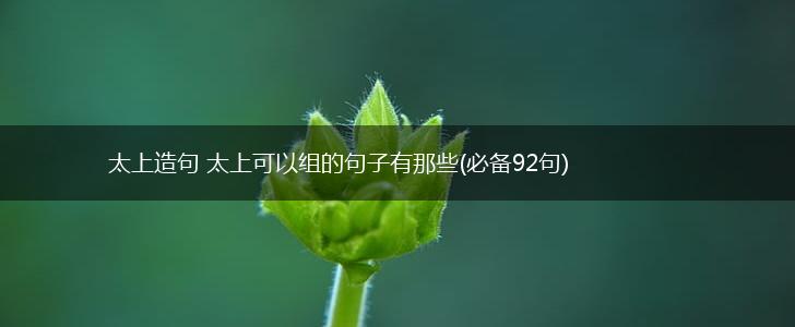 太上造句 太上可以组的句子有那些(必备92句),第1张
