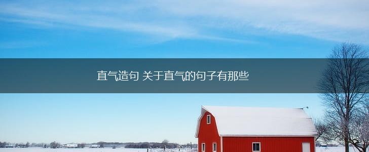 直气造句 关于直气的句子有那些,第1张
