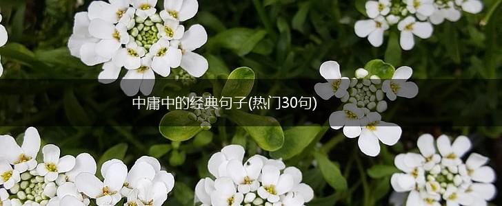 中庸中的经典句子(热门30句),第1张