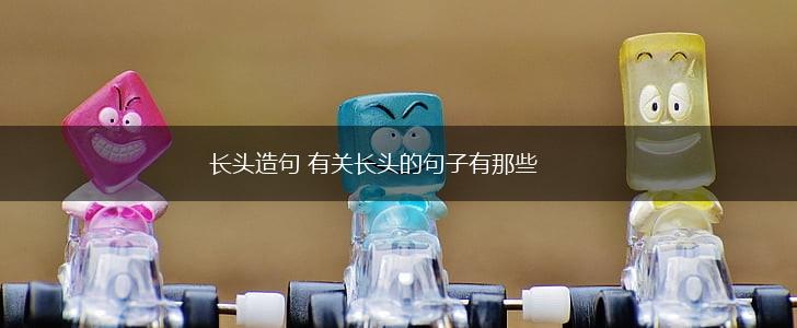 长头造句 有关长头的句子有那些,第1张