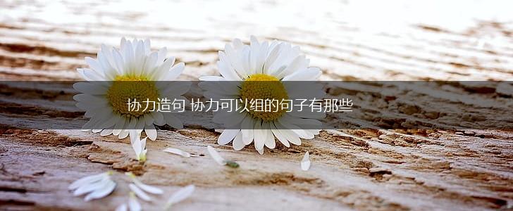 协力造句 协力可以组的句子有那些,第1张