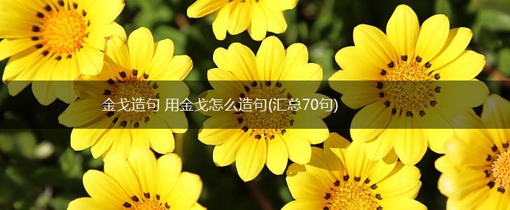 金戈造句 用金戈怎么造句(汇总70句),第1张