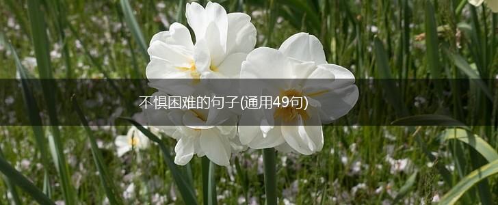 不惧困难的句子(通用49句),第1张