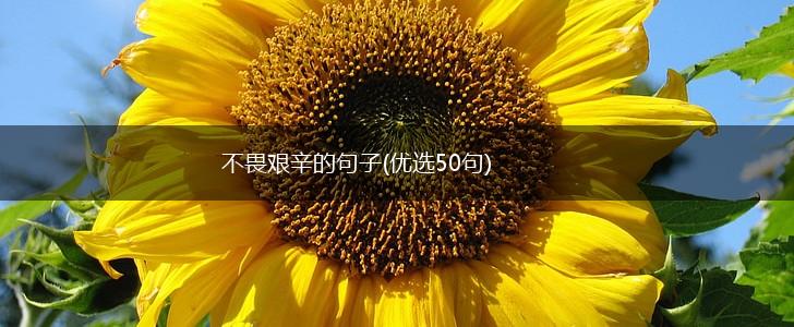 不畏艰辛的句子(优选50句),第1张