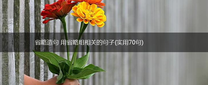 省略造句 用省略组相关的句子(实用70句),第1张
