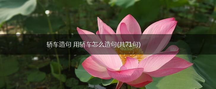 轿车造句 用轿车怎么造句(共71句),第1张