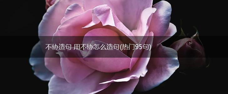 不协造句 用不协怎么造句(热门95句),第1张