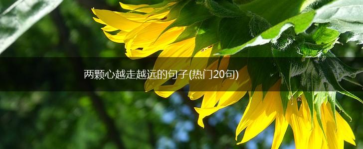 两颗心越走越远的句子(热门20句),第1张