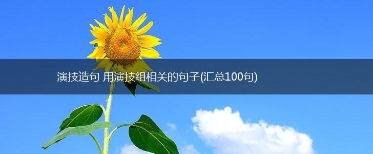 演技造句 用演技组相关的句子(汇总100句),第1张