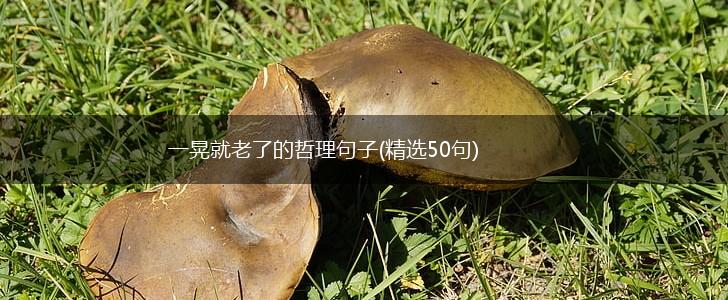 一晃就老了的哲理句子(精选50句),第1张