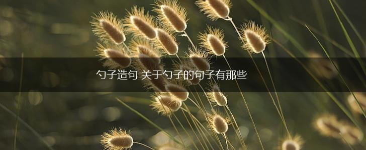 勺子造句 关于勺子的句子有那些,第1张