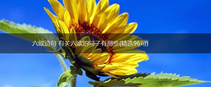 六欲造句 有关六欲的句子有那些(精选96句),第1张