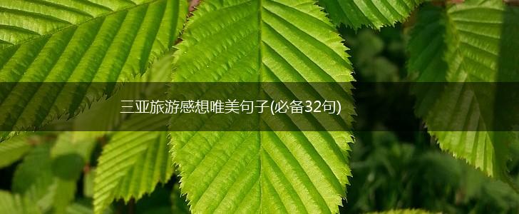 三亚旅游感想唯美句子(必备32句),第1张
