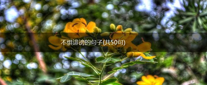 不惧诽谤的句子(共50句),第1张